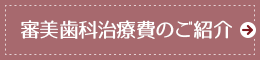 審美歯科治療費のご案内